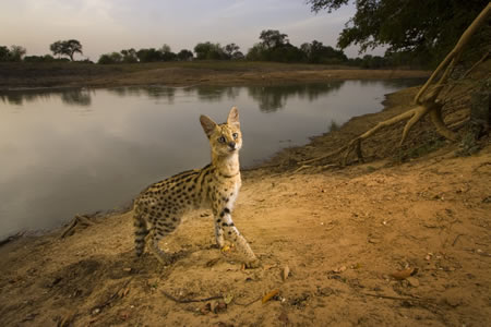 World Press Photo