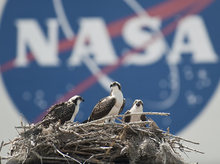 Nasa