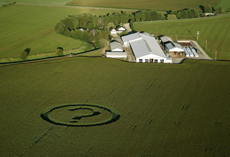 GREENPEACE GE CORN