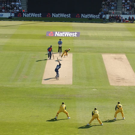 cricket