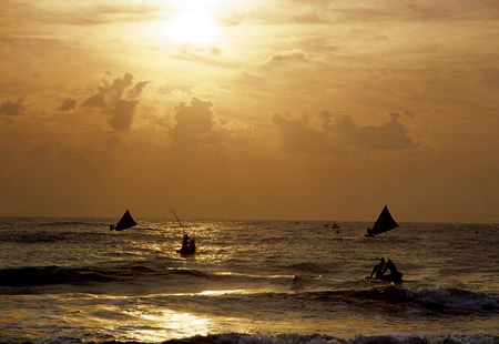 World Oceans Day 2013, Global Giants